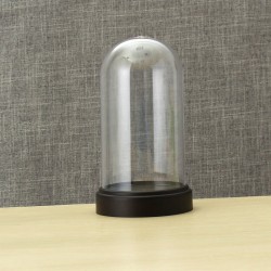 Acrylic Display Case