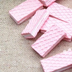 Fake Wafer Biscuit