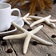  White Natural Finger Sea Star
