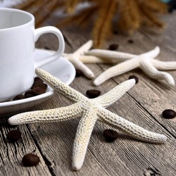  White Natural Finger Sea Star