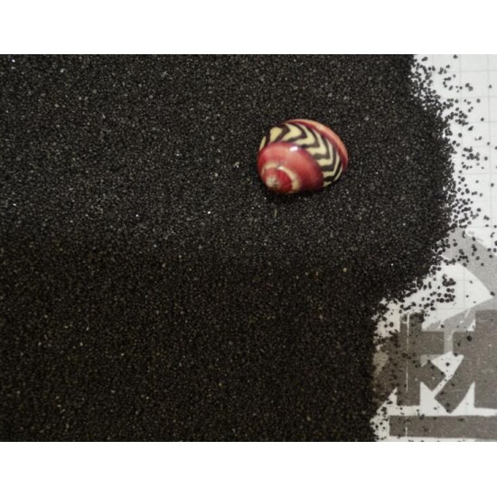 Black Sand Black Sand