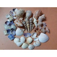 Mixed shells