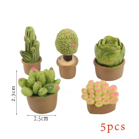 Cute Mini Succulent Cactus Plant Cute Mini Succulent Cactus Plant