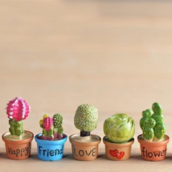 7pcs/Set Cactus Succulent 