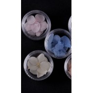 3Petal Dried Flower