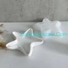Starfish Tray Mold