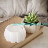 Irregular Stripes Bowl Mold