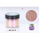 Mirror Chameleons Pigment Pearlescent 