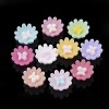 5pcs mix Resin flower 