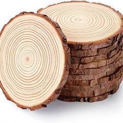 Wood Slice 