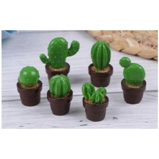 Small Cactus