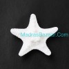 White Starfish