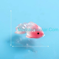 Mini Koi Fish