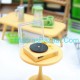 Record Player Record Player