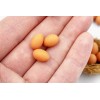 Mini Eggs