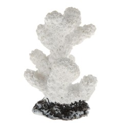 Coral Reef Decor