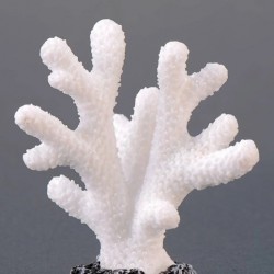 Coral Reef Decor
