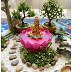 Lotus Stand