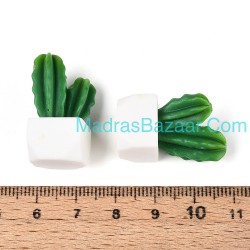 Cactus Succulent