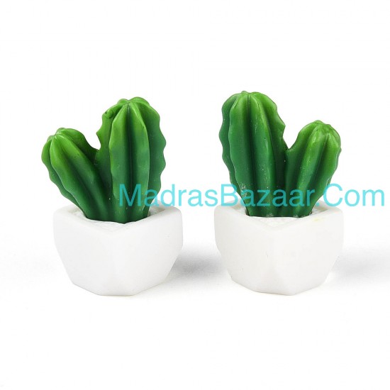Cactus Succulent