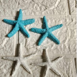 Clay Starfish