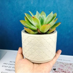 Pattern Pot Mold