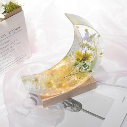 Deep Moon Mold