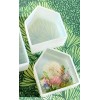 Small Home House Mold