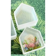 Small Home House Mold