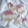 Ocean Shell Series Mold