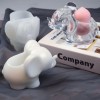 Cute Elephant Holder