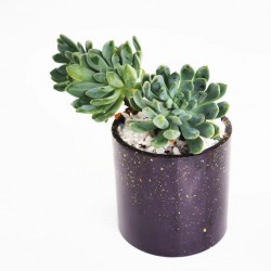 Large Pot Mold