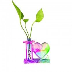 Heart Frame Test Tube Mold