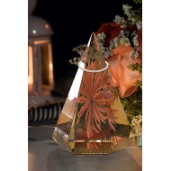 Cone Mold Ring Holder