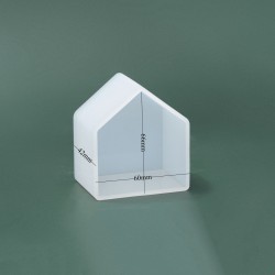 Small Home House Mold