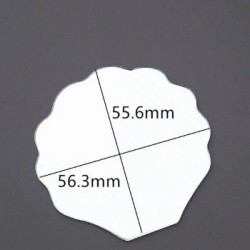 Shell Mirror  