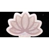 Druzy Lotus Mold