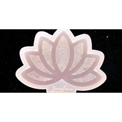 Druzy Lotus Mold