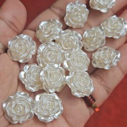 Pearl rose 