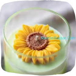 Sunflower Mold