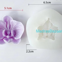 Phalaenopsis Orchid Mold