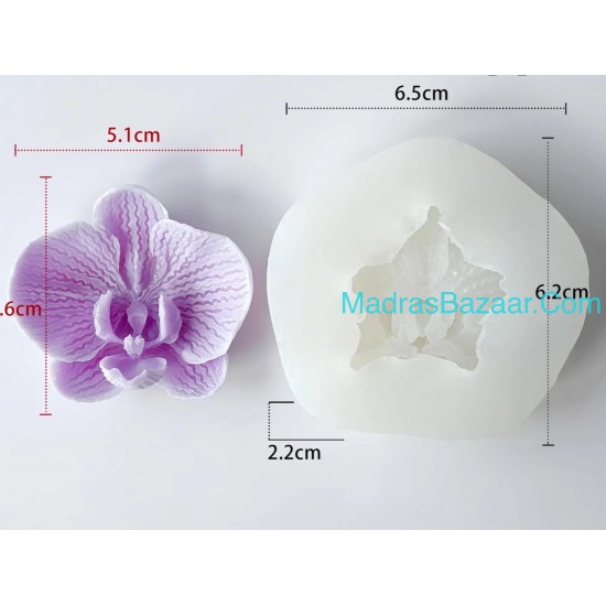 Phalaenopsis Orchid Mold