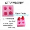 Mini Strawberry Mold