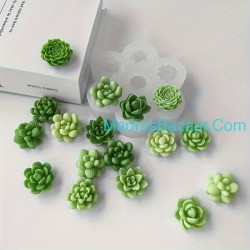 Mini succulent cactus mould