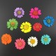 Daisy Natural Dried Flower Daisy Natural Dried Flower