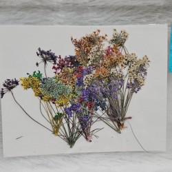Bunch Lace Flower