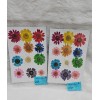 Daisy Natural Dried Flower