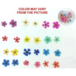 12 Colors Real Plum Dried Flower 
