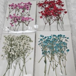 Mini Cute Dried Flower