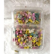 Himalayan Dry FLower